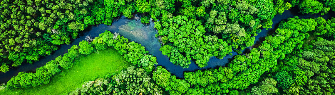 Aerial view of a forested river course